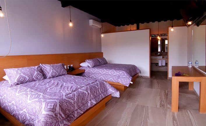 Villa Gallaecia G&S Con 10 Habitaciones Santa Catarina  Exterior photo